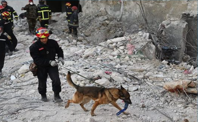 سوريا :فرقة الأنياب التونسية تشارك في عملية البحث عن المفقودين